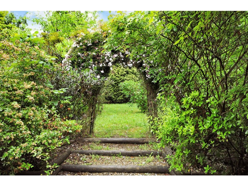 22 Hill Street, Wentworth Falls NSW 2782