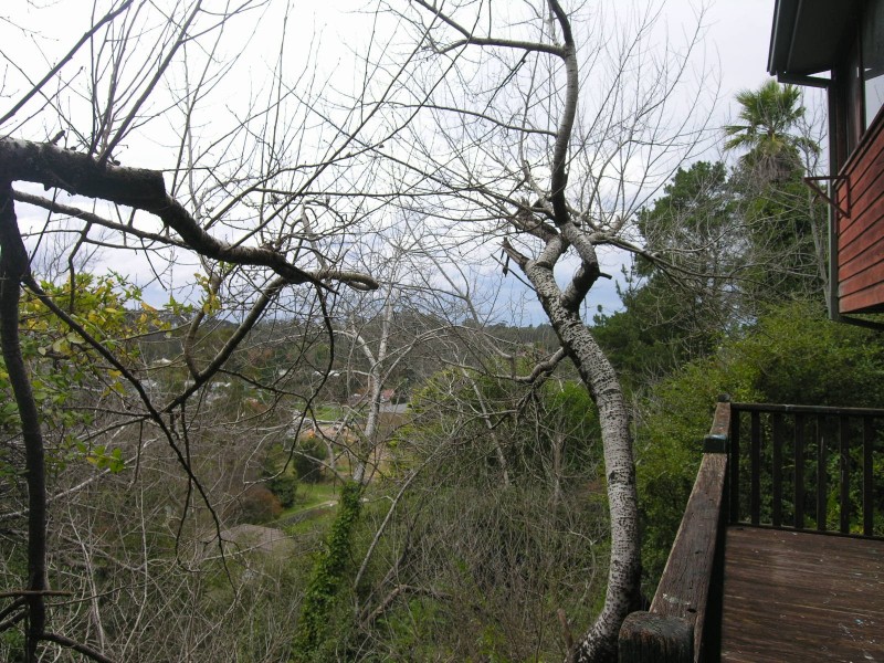 6 Megalong Street, Katoomba NSW 2780