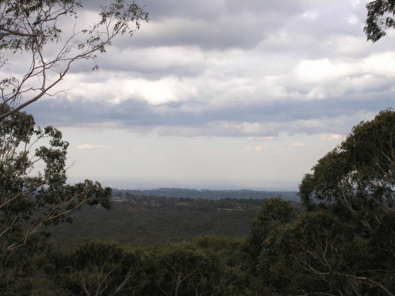 2/24 Buena Vista Avenue, Wentworth Falls NSW 2782