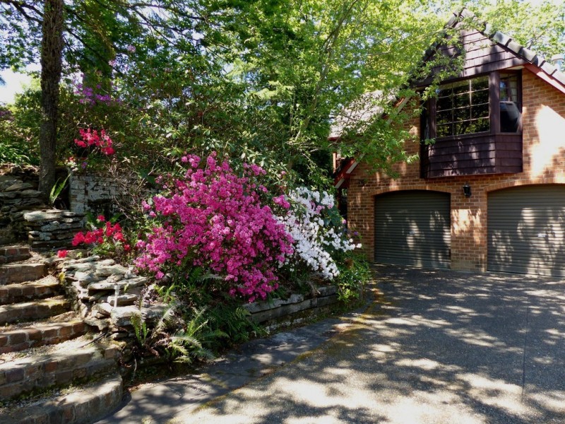 67 Dalrymple Avenue, Wentworth Falls NSW 2782