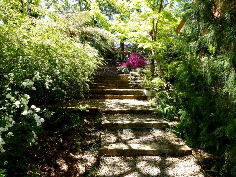 67 Dalrymple Avenue, Wentworth Falls NSW 2782