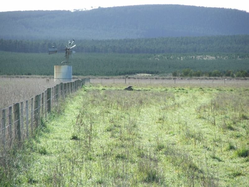 Lot 1 Powers Road, Tantanoola SA 5280