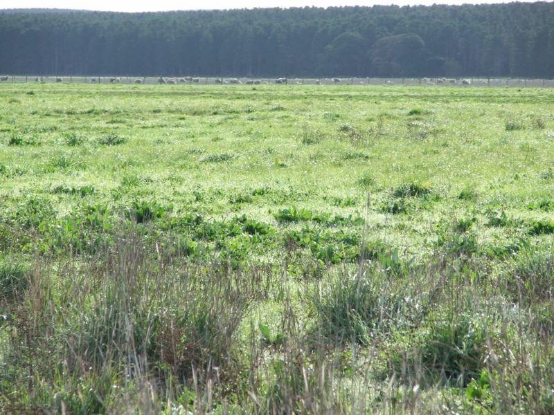 Lot 1 Powers Road, Tantanoola SA 5280