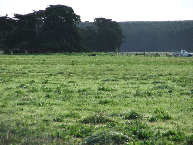 Lot 1 Powers Road, Tantanoola SA 5280