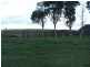 Sec 161 Kalangadoo Road, Glencoe SA 5291