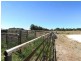 594 Worrolong Road, Worrolong SA 5291