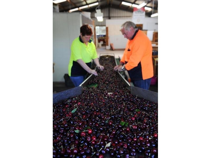 Lot 5 Dohle Road, Mount Gambier SA 5290