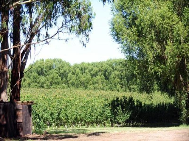 Lot 5 Dohle Road, Mount Gambier SA 5290