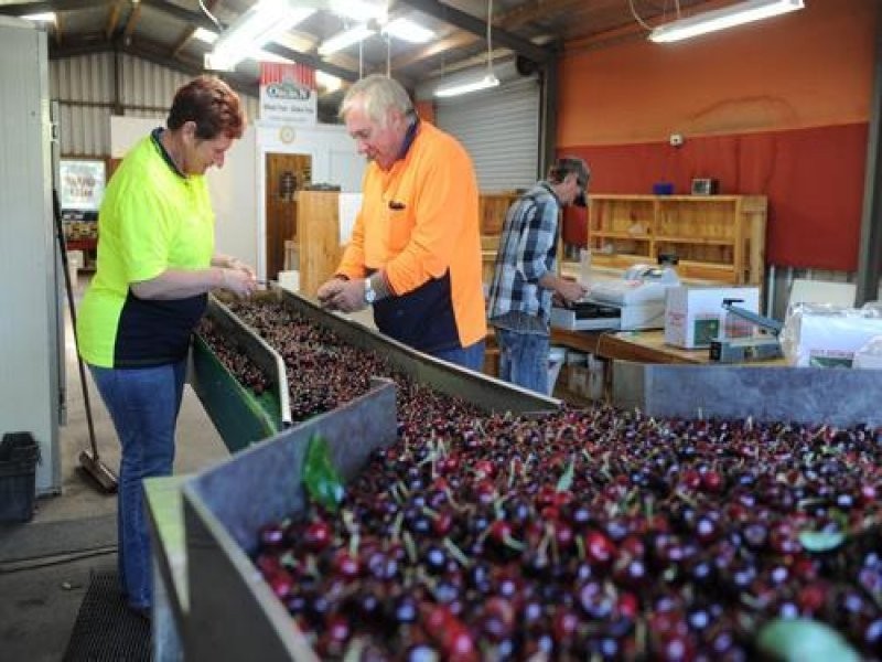 Lot 5 Dohle Road, Mount Gambier SA 5290