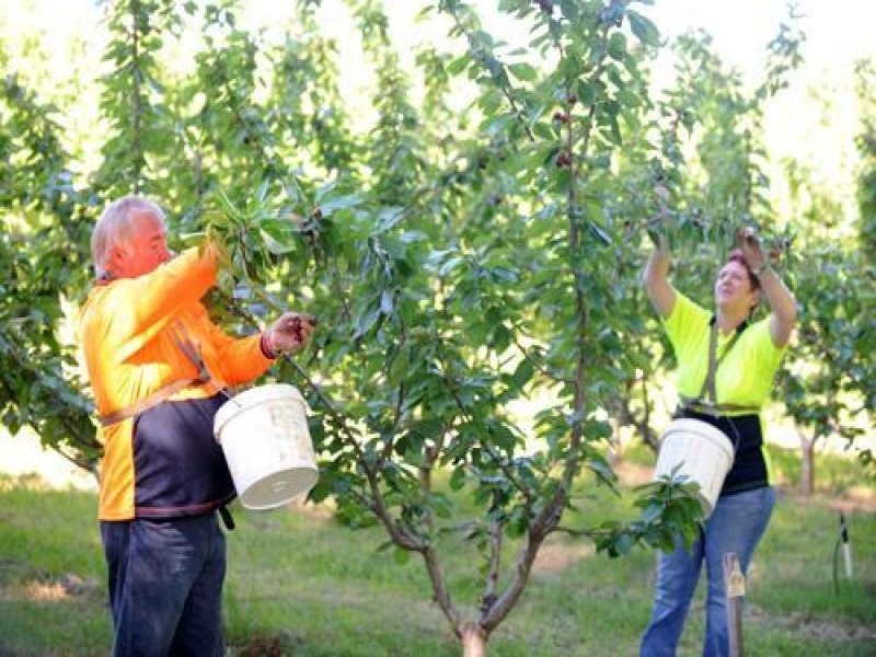 Lot 5 Dohle Road, Mount Gambier SA 5290