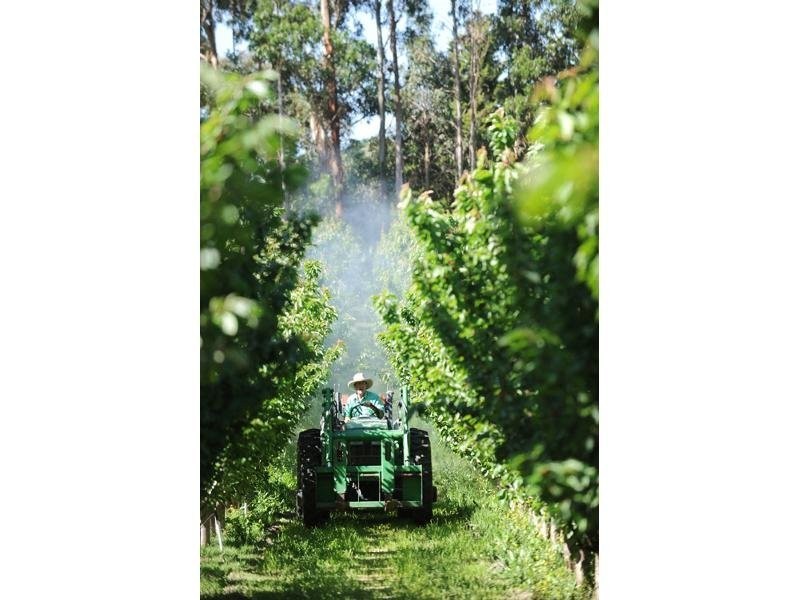 Lot 5 Dohle Road, Mount Gambier SA 5290