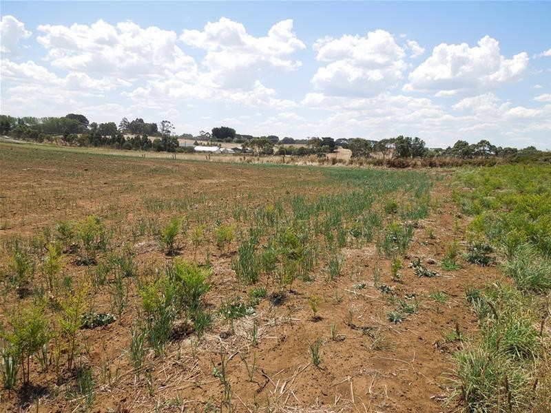 71 Gladigau Road, Mount Gambier SA 5290