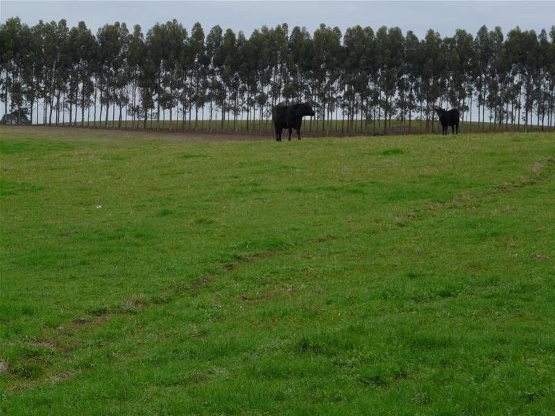 348 Walker Road, Suttontown SA 5291