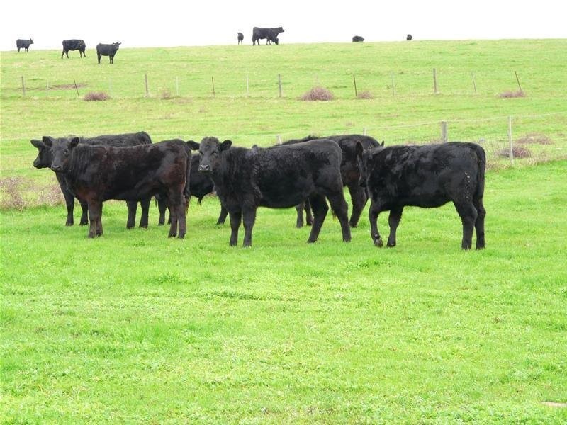 348 Walker Road, Mount Gambier SA 5290