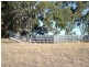 Section 87 Racecourse Road, Kalangadoo SA 5278