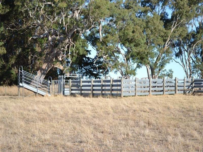 Section 87 Racecourse Road, Kalangadoo SA 5278