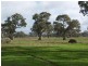 Section 87 Racecourse Road, Kalangadoo SA 5278