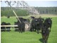 100 Crowes Road, Kongorong SA 5291