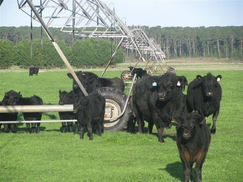 100 Crowes Road, Kongorong SA 5291