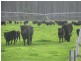 100 Crowes Road, Kongorong SA 5291