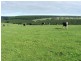 1 Princes Highway, Dartmoor VIC 3304