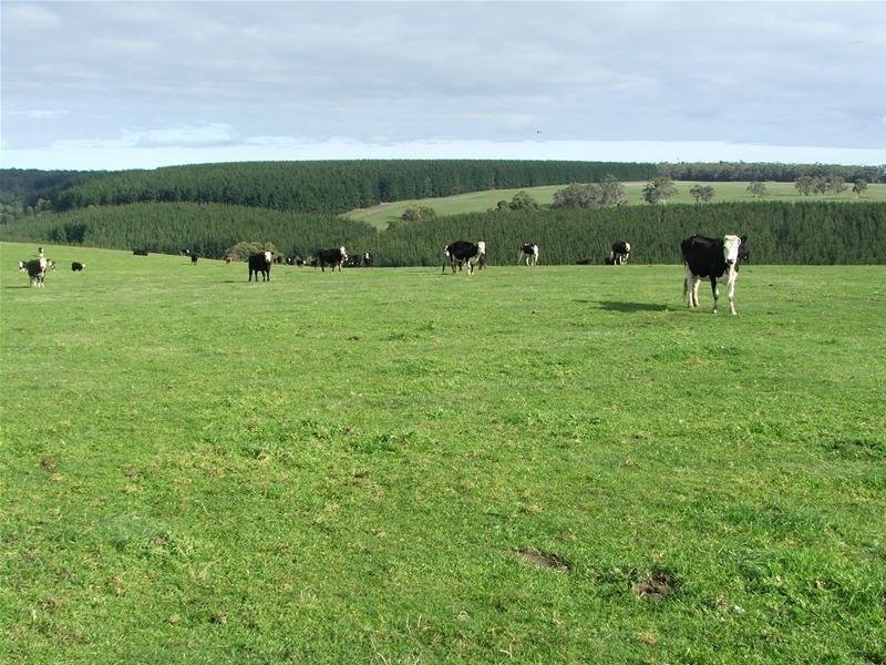 1 Princes Highway, Dartmoor VIC 3304