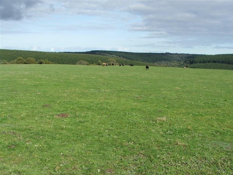 1 Princes Highway, Dartmoor VIC 3304
