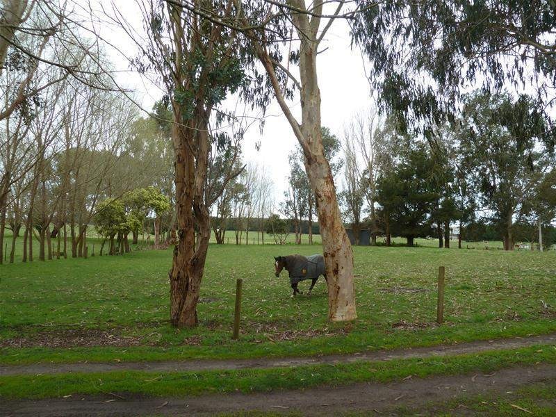 66 Glencoe Road, Glencoe SA 5291