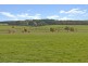 337 Bunworths Road, Macarthur VIC 3286