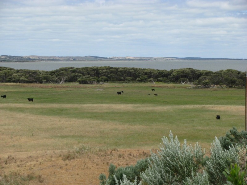 127 Bog Lane, Beachport SA 5280