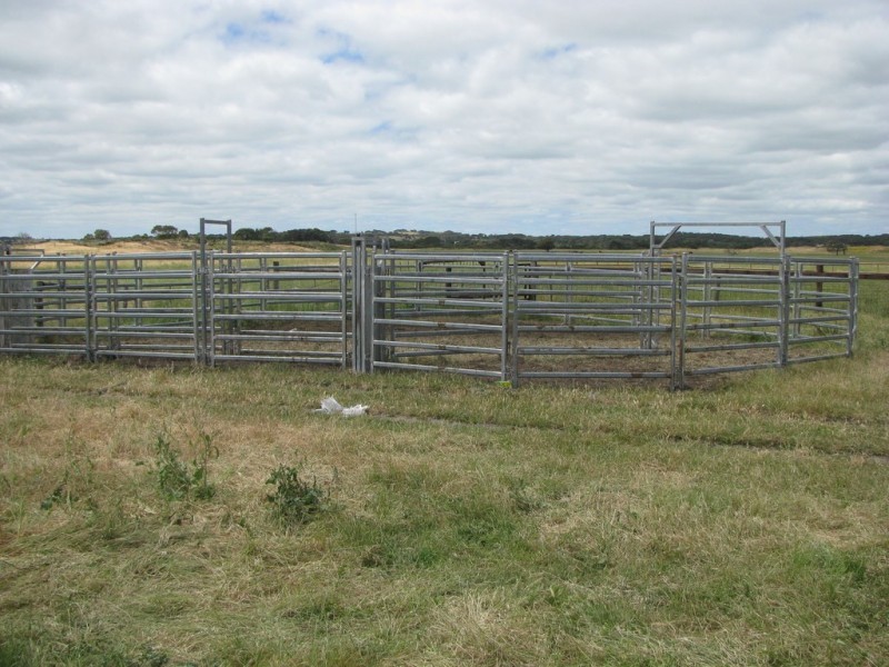 127 Bog Lane, Beachport SA 5280