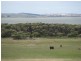 127 Bog Lane, Beachport SA 5280