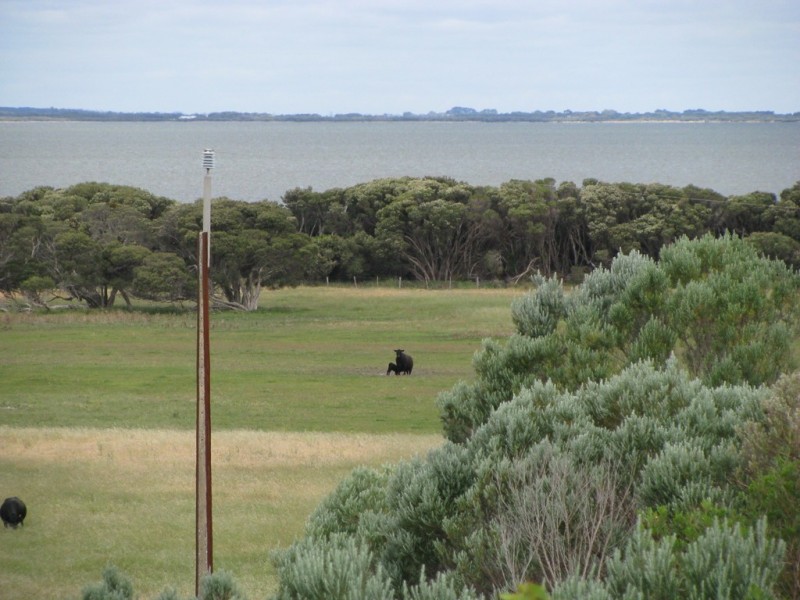 127 Bog Lane, Beachport SA 5280