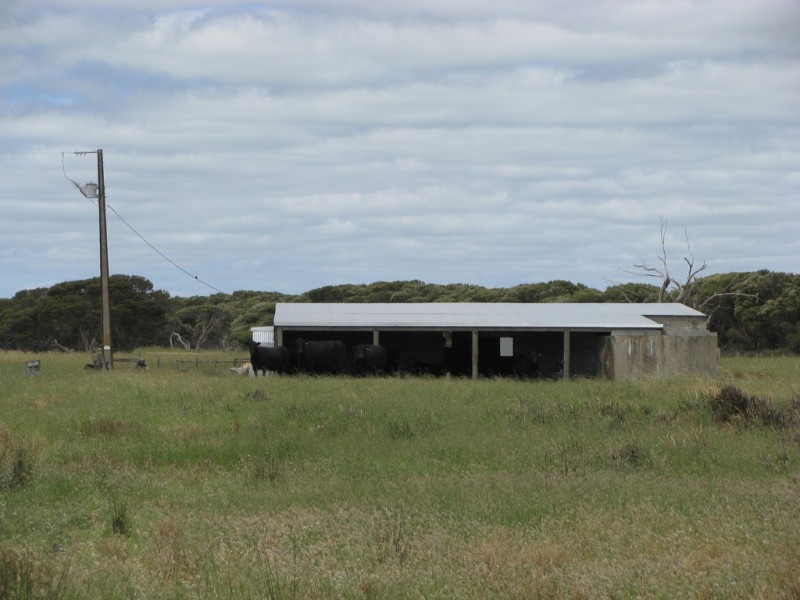 127 Bog Lane, Beachport SA 5280