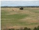 127 Bog Lane, Beachport SA 5280