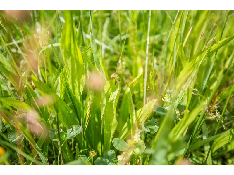 3571 Princess Highway “Talisker”, Drumborg VIC 3304