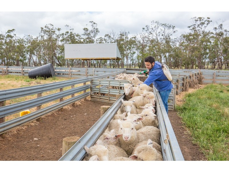 3571 Princess Highway “Talisker”, Drumborg VIC 3304