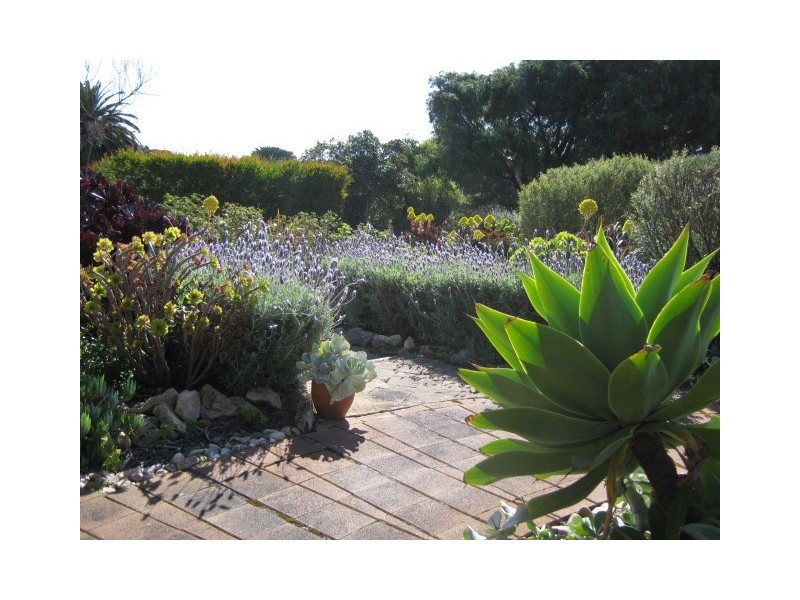 36 Sargent Close, Robe SA 5276