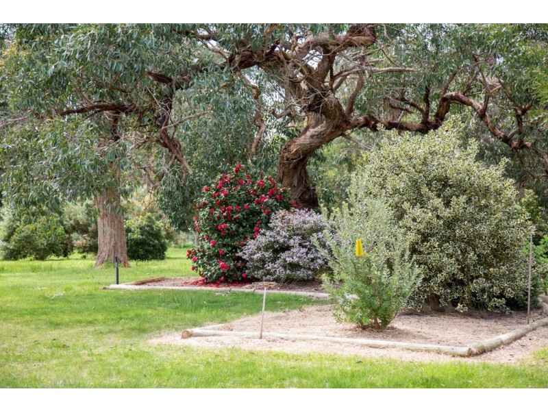 30 Acacia Drive, Millicent SA 5280