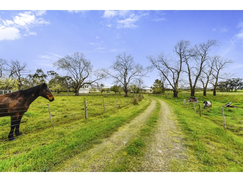 519 Peweena Road ”Peweena Station”, Mingbool SA 5291