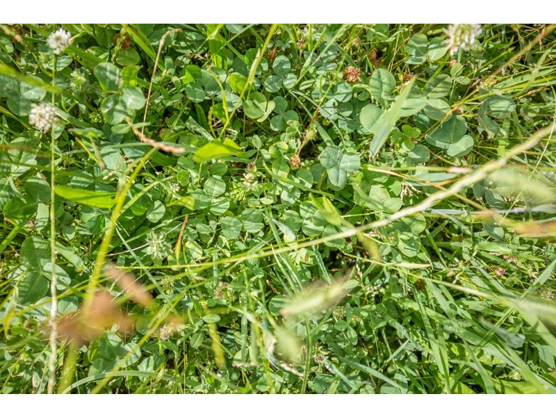 3571 Princess Highway ”Talisker”, Drumborg VIC 3304