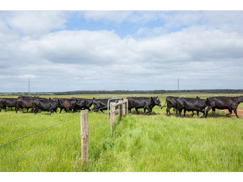 3571 Princess Highway ”Talisker”, Drumborg VIC 3304