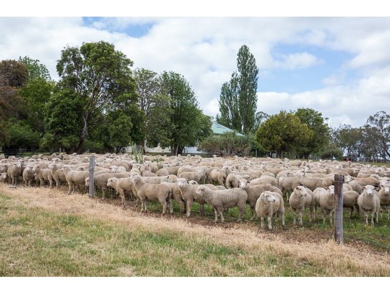 3571 Princess Highway ”Talisker”, Drumborg VIC 3304