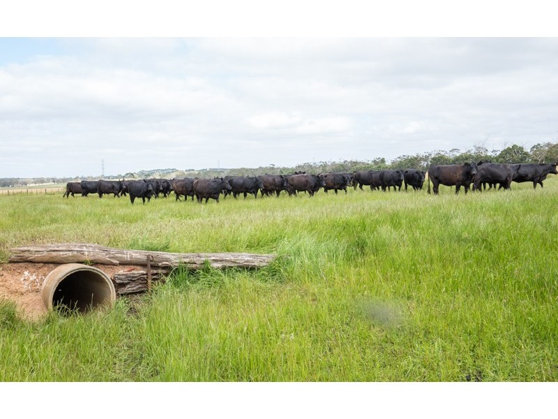 3571 Princess Highway ”Talisker”, Drumborg VIC 3304