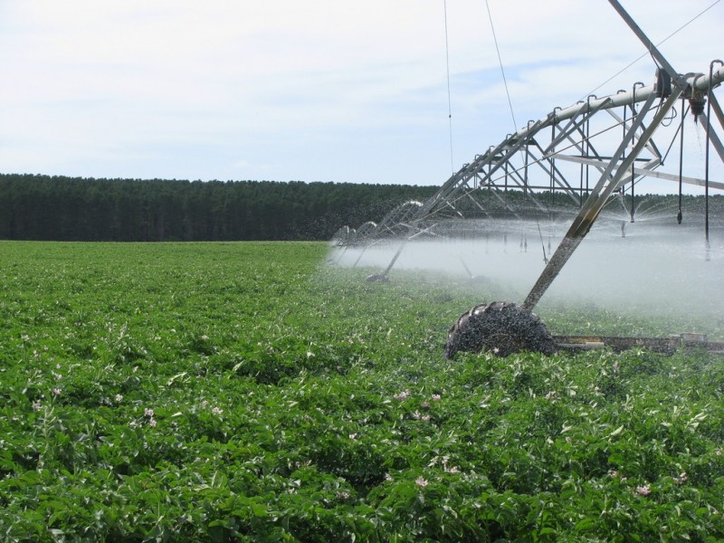 783 Burrungule Road “Slaters”, Kongorong, Burrungule SA 5291