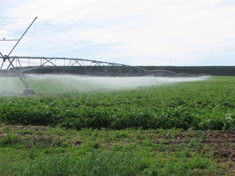 783 Burrungule Road “Slaters”, Kongorong, Burrungule SA 5291