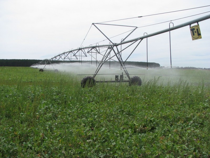 783 Burrungule Road “Slaters”, Kongorong, Burrungule SA 5291