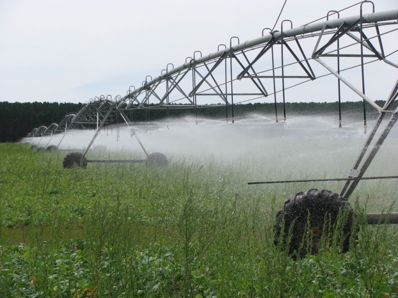 783 Burrungule Road “Slaters”, Kongorong, Burrungule SA 5291