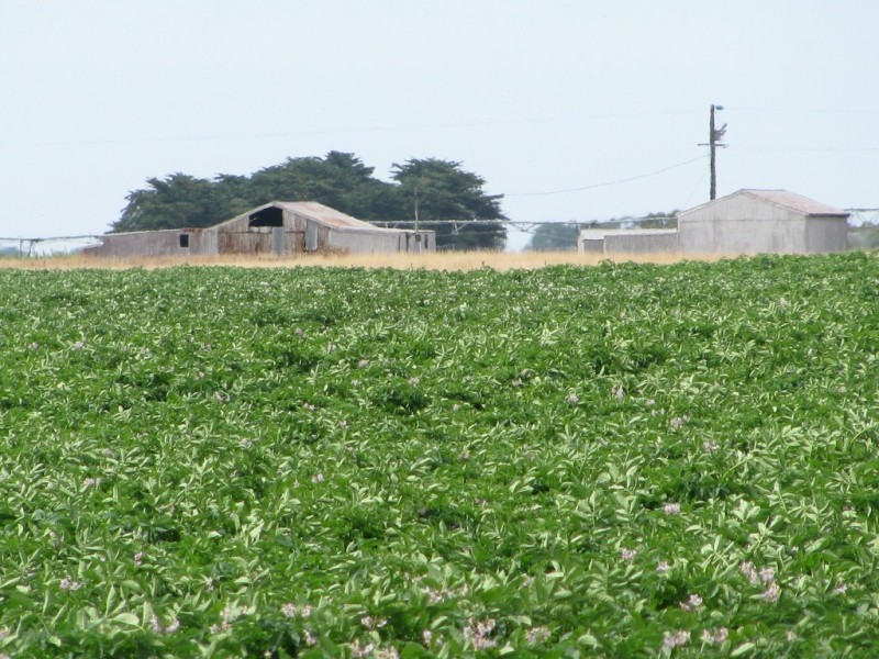 783 Burrungule Road “Slaters”, Kongorong, Burrungule SA 5291