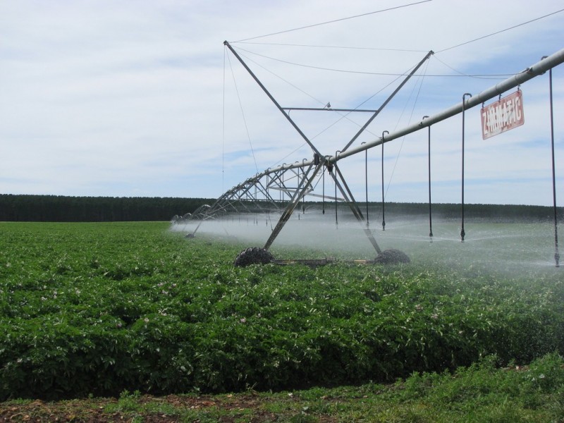 783 Burrungule Road “Slaters”, Kongorong, Burrungule SA 5291